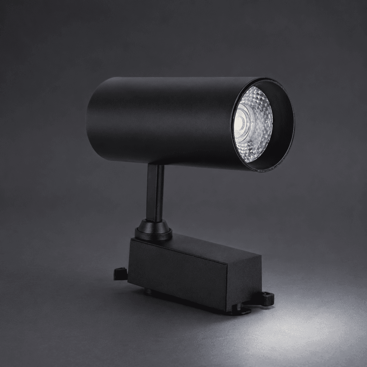 Track Light (Black)